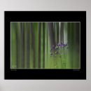 Search for shooting star art Purple