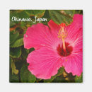 Search for flowers square magnets Japan