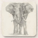 Search for african safari coasters Animal