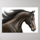 Search for thoroughbreds posters Racing