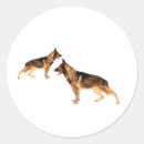 Search for dog friendly stickers Animal