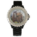 Search for thoroughbred accessories Equine