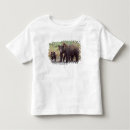 Search for grizzly bear tshirts Usa