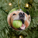 Search for golden retriever christmas tree decorations Pet