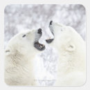 Search for snow bear stickers Animal