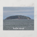Search for puffin postcards Island