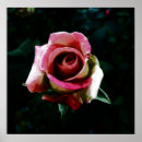 Search for romantic red rose posters Petals