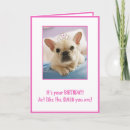 Search for funny french birthday cards Frenchie