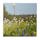 Search for texas wildflower tiles Blue