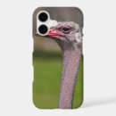Search for ostrich bird iphone cases Animal