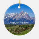 Search for grand teton christmas tree decorations Nature