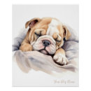 Search for cute bulldog posters Baby