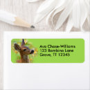 Search for fawn return address labels Forest