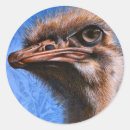 Search for ostrich stickers Wild
