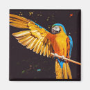 Search for plumage magnets Animal