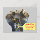 Search for talk like a pirate postcards Humour