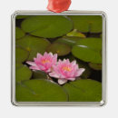 Search for lilies christmas tree decorations Nature