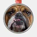 Search for english bulldog christmas tree decorations Dog lover