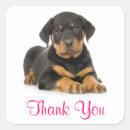 Search for rottweiler stickers Puppy