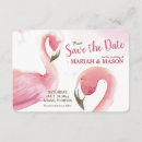 Search for tropical flamingo wedding invitations Birds