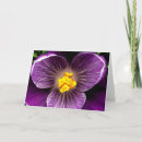 Search for purple crocus cards Flowers