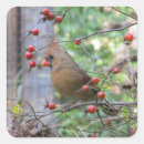 Search for cardinal in winter stickers Berries