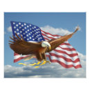Search for american bald eagle art Birds