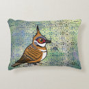 Search for cartoon cushions Cute