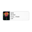 Search for parrot return address labels Flower