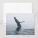 Search for marine animals invitations Waves