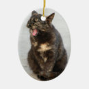 Search for tortie cat christmas tree decorations Kitty