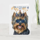 Search for funny yorkie cards Yorkshire terrier
