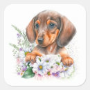 Search for dachshund puppy stickers Pet