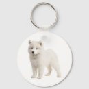 Search for samoyed dog key rings Puppy