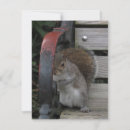 Search for on a park cards Humour