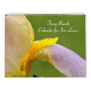 Search for bearded iris Petal