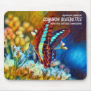 Search for common electronics Insect