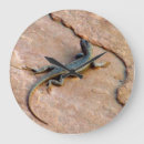 Search for lizard clocks Wild