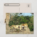 Search for sleeps postcards Sleeping
