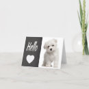 Search for chalkboard and cards Dog