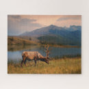 Search for red deer puzzles Landscape