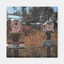 Search for funny pigs magnets Pork