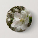 Search for apple badges Nature