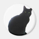 Search for willow magnets Black