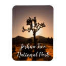 Search for joshua tree national rectangular magnets California