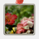 Search for flora christmas tree decorations Island