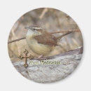 Search for ornithology magnets Nature