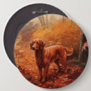 Search for setter badges Pet