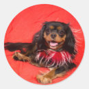Search for cavalier king charles stickers Ckcs
