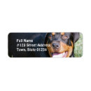 Search for rottweiler puppy return address labels Canine